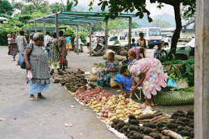 Rabaul_market_medium.jpg (49962 バイト)